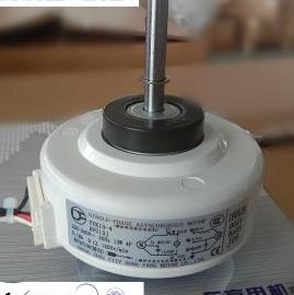 Fang Sheng Motor 1 fang sheng motor